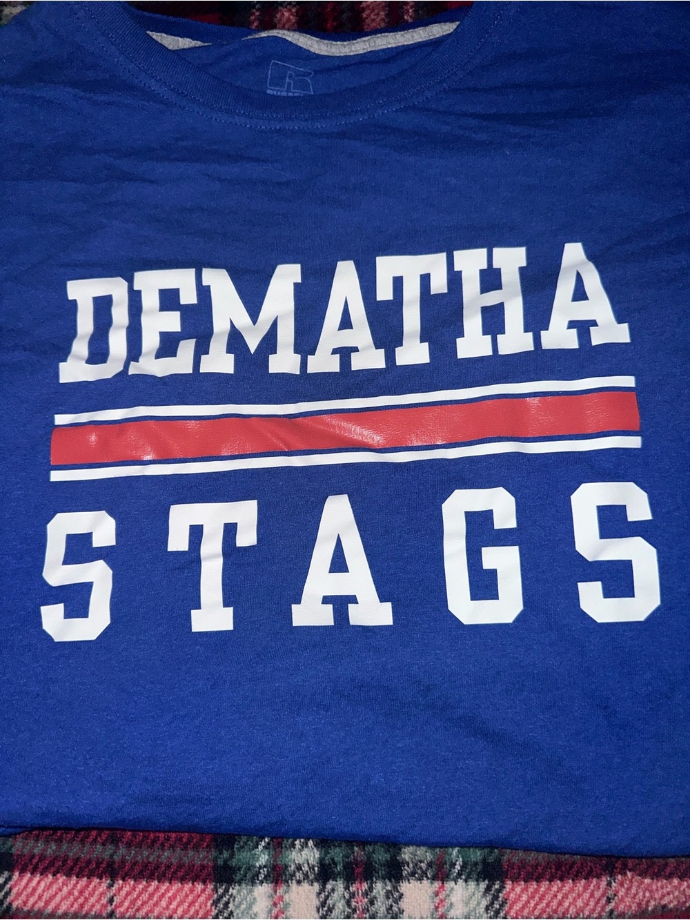 Russell Athletic Blue Dematha Stags Graphic Tee with Red Stripe